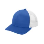 stc54-trueroyalwhite